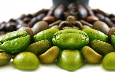 Green Coffee Extract 45% - 50%