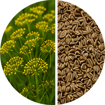 Dill cutout