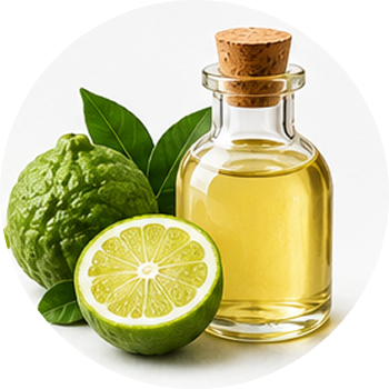 Bergamot Oil cutout