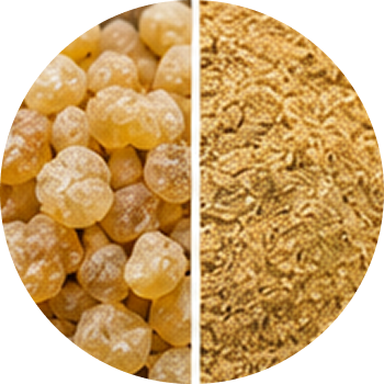 Boswellia Extract cutout