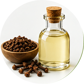 Clove Bud Oil cutout