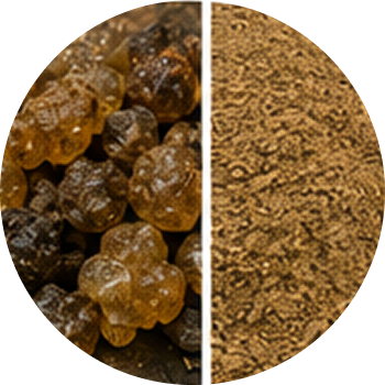 Guggul Extract cutout