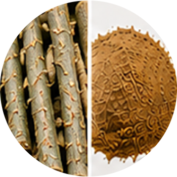 D.G.L. (Deglycyrrhizinated Licorice) cutout