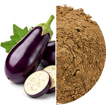 Brinjal cutout