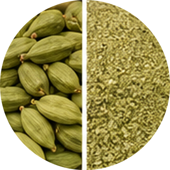 Cardamom Extract cutout