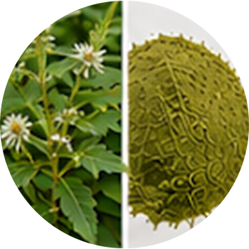 Somlata cutout