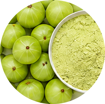 Gooseberry cutout
