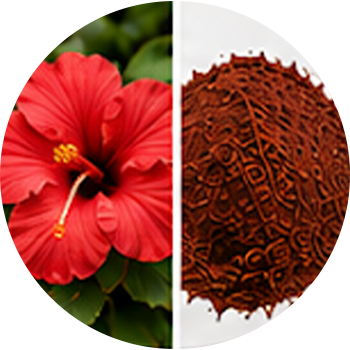 Japa Flower cutout