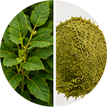 Henna cutout