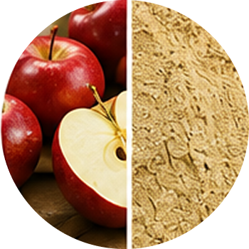Apple cutout
