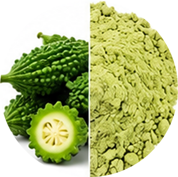 Bitter Gourd cutout
