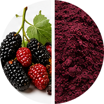 Mulberry cutout