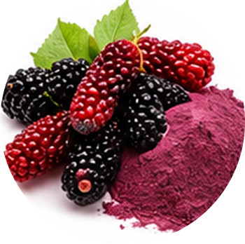 Mulberry cutout
