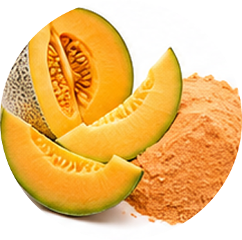 Muskmelon cutout