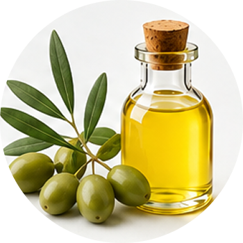 Olive Oil cutout