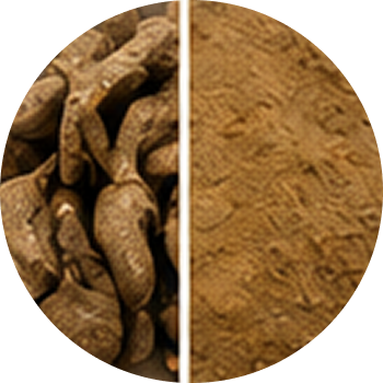 Nisoth cutout