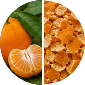 Orange peel Extract cutout
