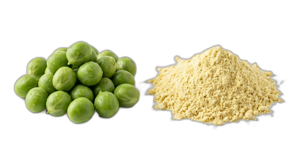 Pea Protein cutout