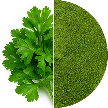 Parsley cutout