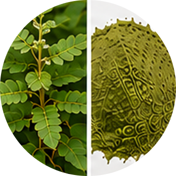 Kambhoi cutout
