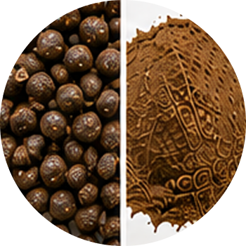 Kabab Chini cutout