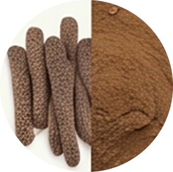 Piper longum root Extract cutout