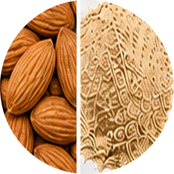 Almond cutout
