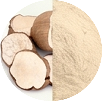Indian Kudzu Extract cutout