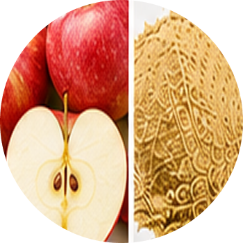 Apple cutout