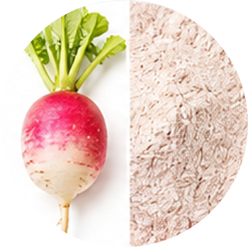 Radish cutout