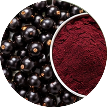 Blackcurrant cutout