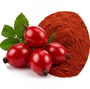 Rose Hip cutout