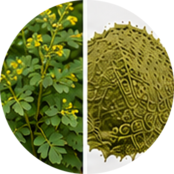 Satap cutout