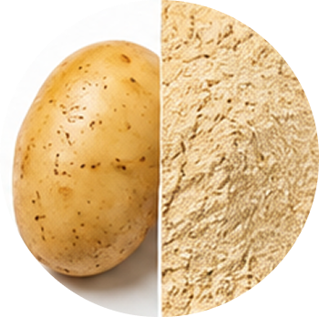 Potato cutout