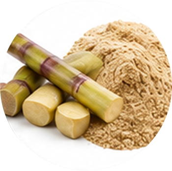 Sugarcane cutout