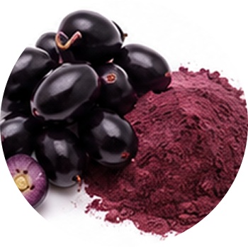 Jamun cutout