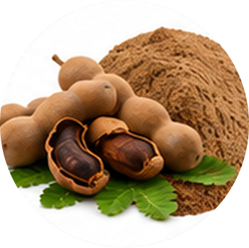 Tamarind cutout