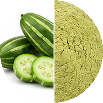 Pointed Gourd cutout