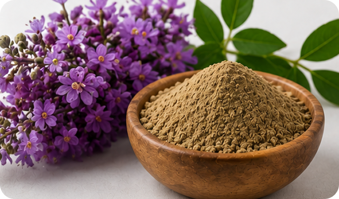 Chaste Tree Extract Product Display