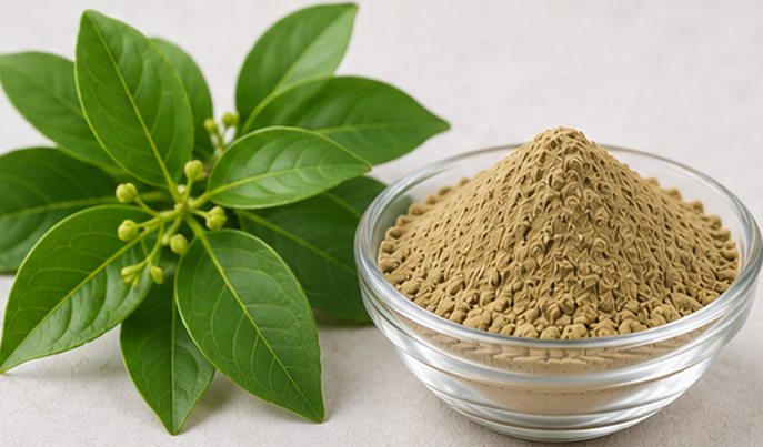 Gymnema Extract Product Display