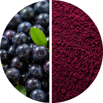 Bilberry cutout