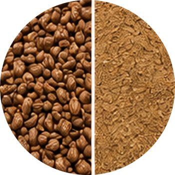 Grape seed P.E. cutout