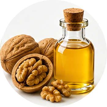 Walnut Oil cutout