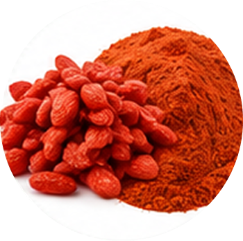 Wolfberry Goji cutout